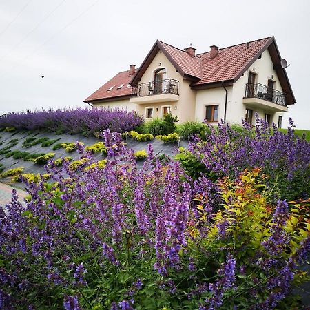 Apartamenty, Zielone Wzgorze Wiktora W Mikolajkach Mikołajki Extérieur photo