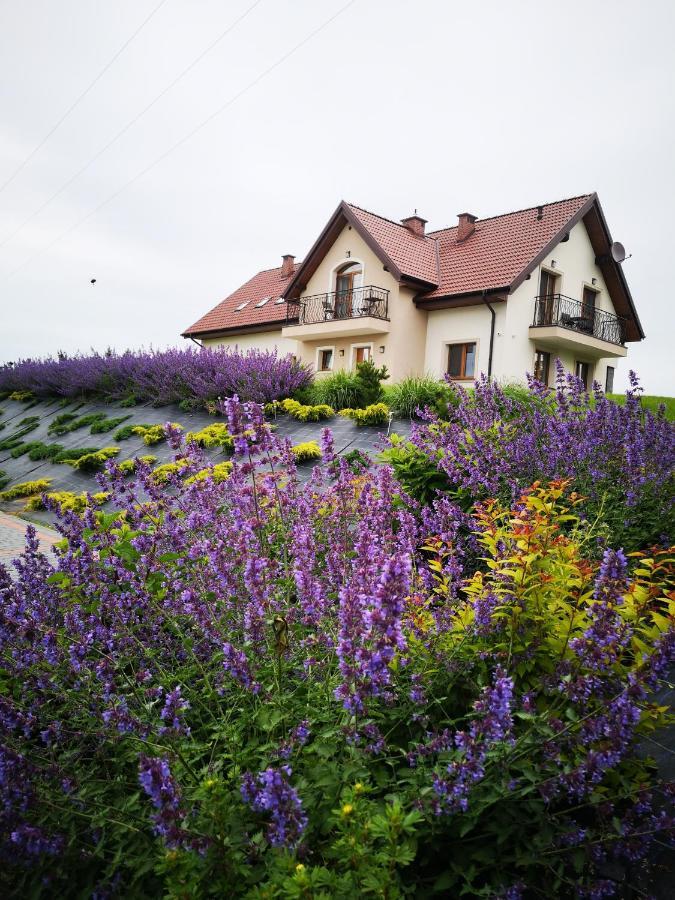 Apartamenty, Zielone Wzgorze Wiktora W Mikolajkach Mikołajki Extérieur photo